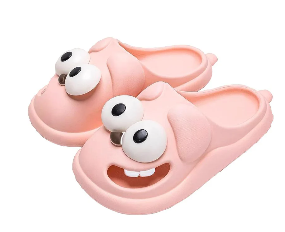 Cartoon Slippers