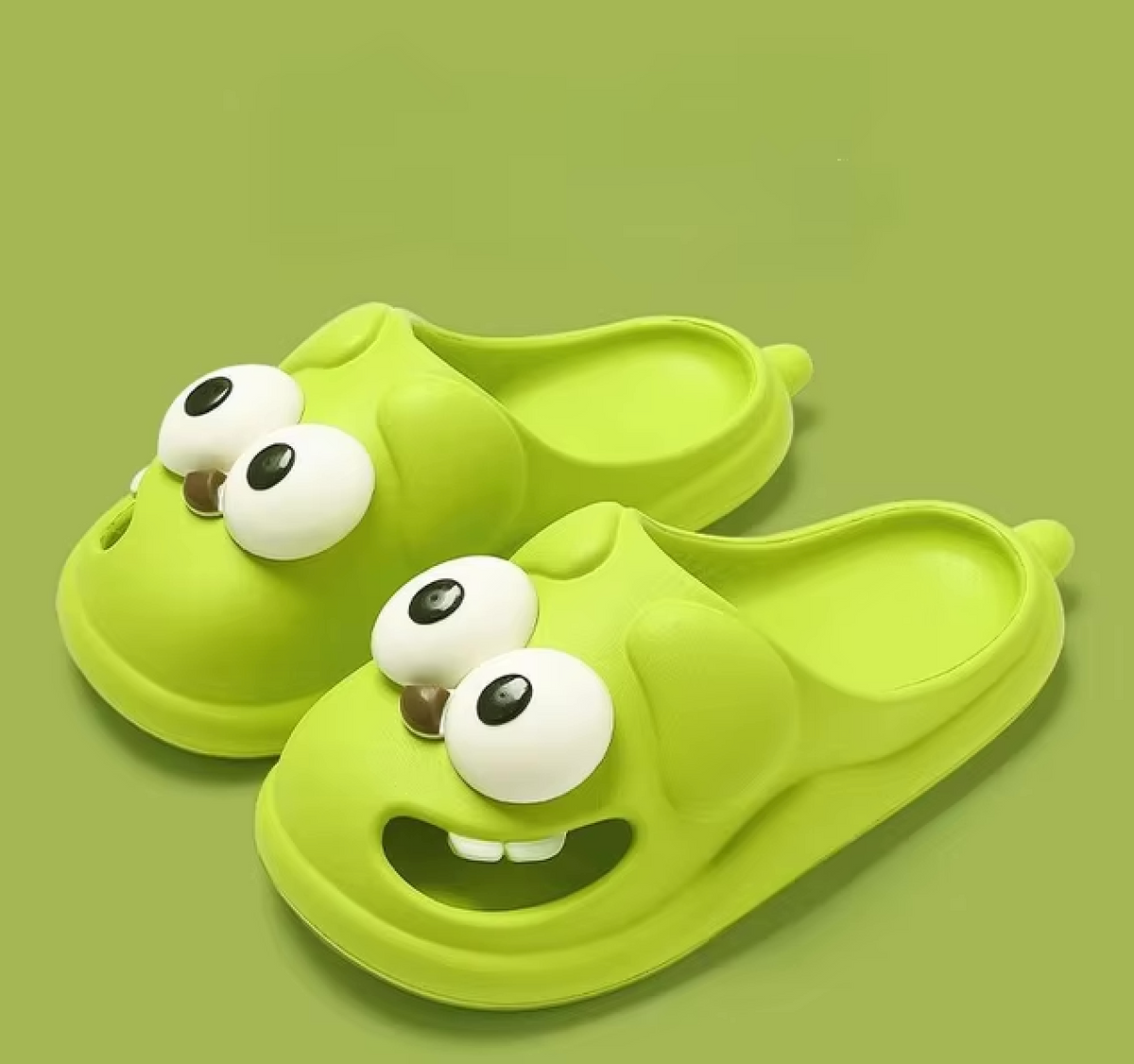 Cartoon Slippers